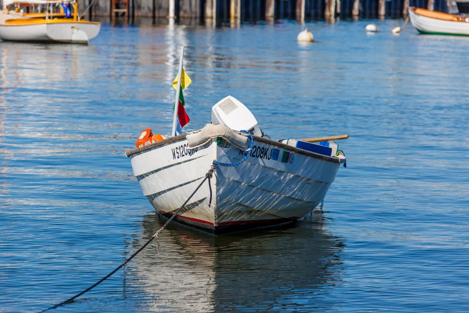 How Catch-and-Release Fishing Works