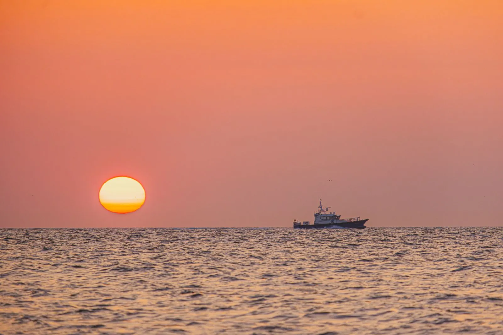 Choosing the Right Fishing Charter for Your Group